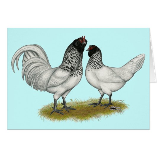 Dutch Owl Beard Chickens Cards (Front Horizontal)