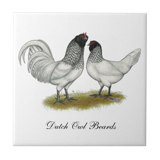 Dutch Owl Beard Chickens Ceramic Tile (Front)