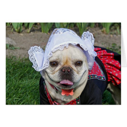 Dutch Pooch Cards (Front Horizontal)