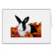 Dutch rabbit in fall leaves