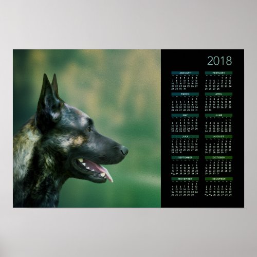 Dutch Shepherd _ Dutchie Calendar 2018 Poster