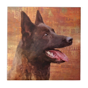 Dutch Shepherd - Dutchie Illustration Ceramic Tile