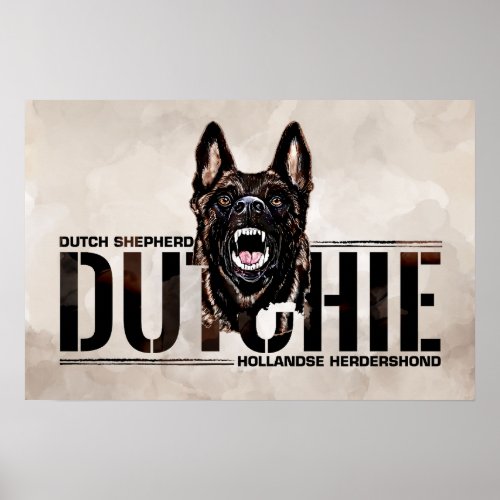 Dutch Shepherd _Hollandse Herdershond  Poster