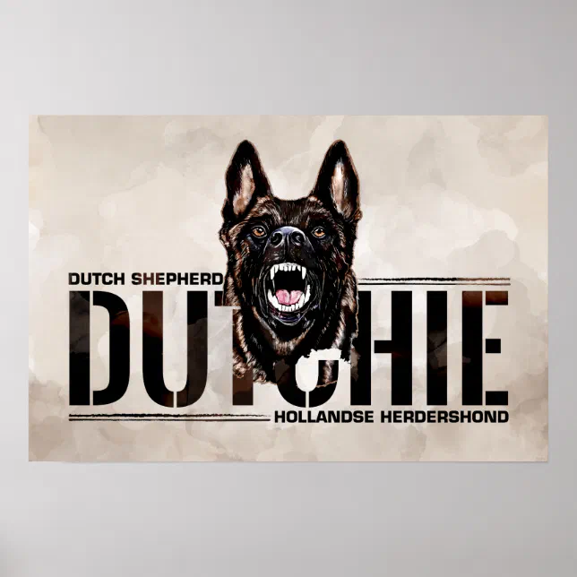 Dutch Shepherd Hollandse Herdershond Poster Zazzle