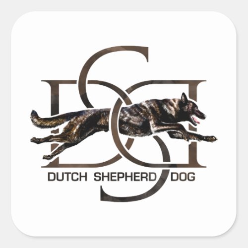 Dutch Shepherd _Hollandse Herdershond  Square Sticker