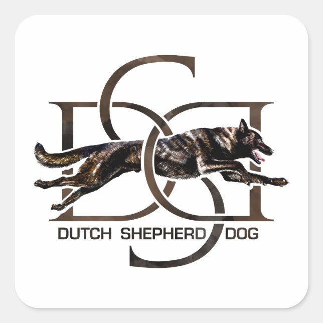 Dutch Shepherd -Hollandse Herdershond  Square Sticker (Front)
