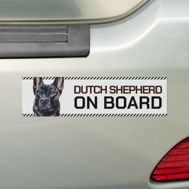 Dutch Shepherd on Board Bumper Sticker (On Car)