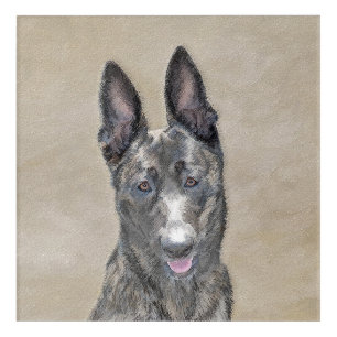 Dutch Shepherd Painting - Cute Original Dog Art