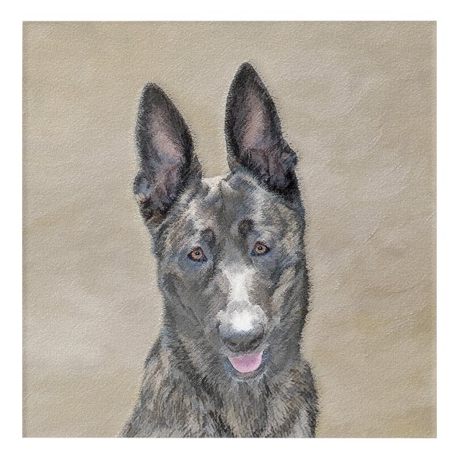 Dutch Shepherd Painting - Cute Original Dog Art (Front)