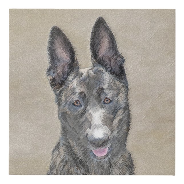 Dutch Shepherd Painting - Cute Original Dog Art Faux Canvas Print (Front)