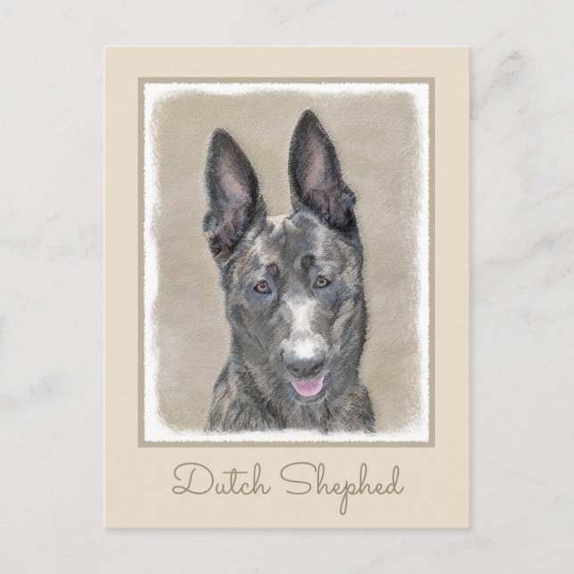 Dutch Shepherd Painting - Cute Original Dog Art Postcard (Front)