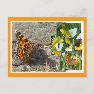 Dutch Summer Butterflies Collage DIY Postcard