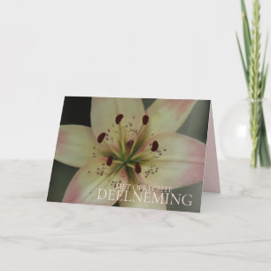 Dutch Sympathy Pink Tiger Lily Card
