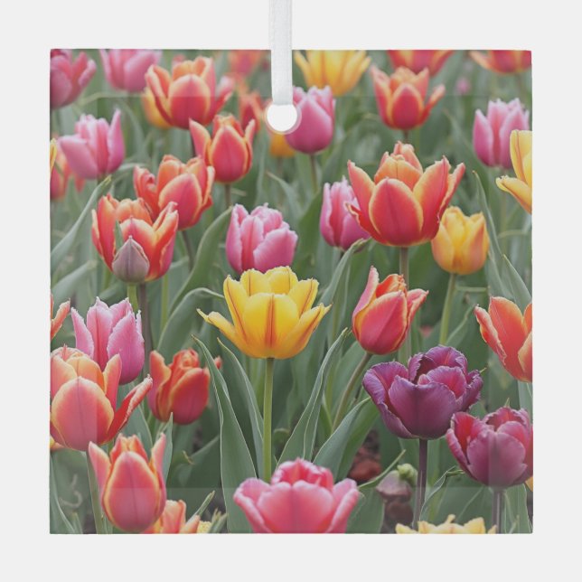 Dutch Tulips Glass Ornament (Front)