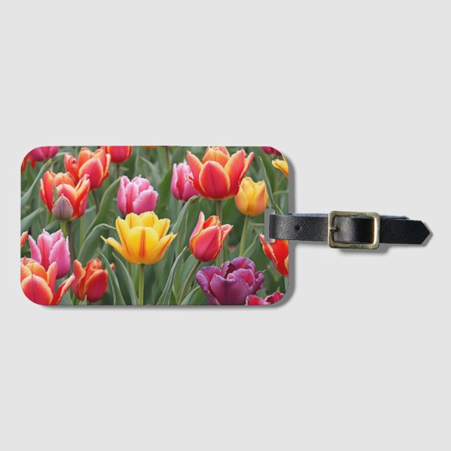 Dutch Tulips Luggage Tag (Front Horizontal)
