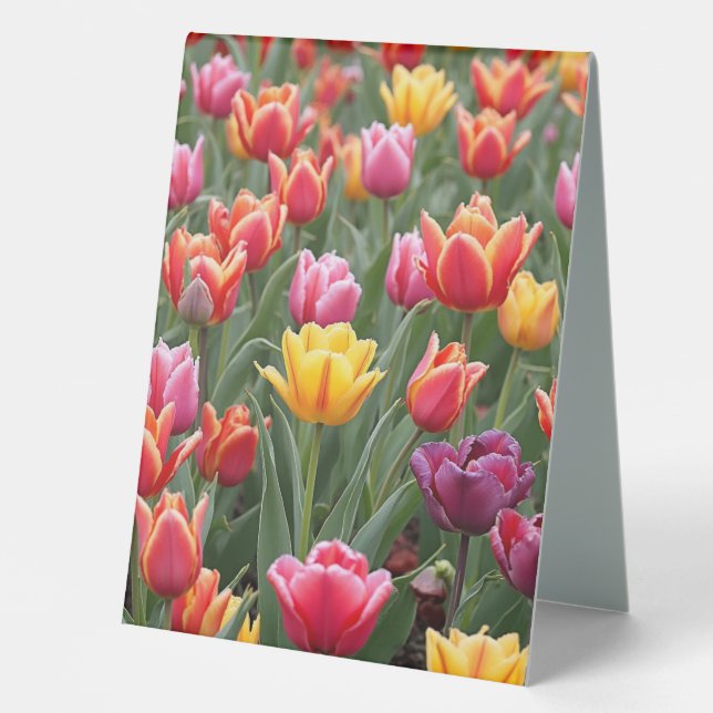 Dutch Tulips Table Tent (Front)