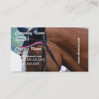 Dutch Warmblood Horse Business Cards by HorseStall at Zazzle