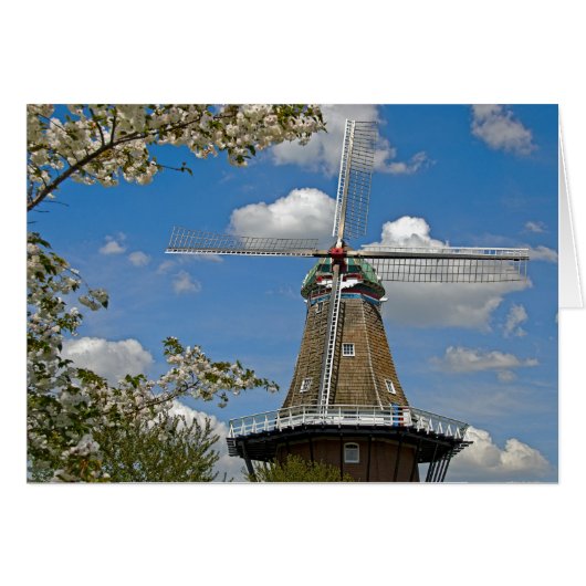 Dutch Windmill Cards (Front Horizontal)