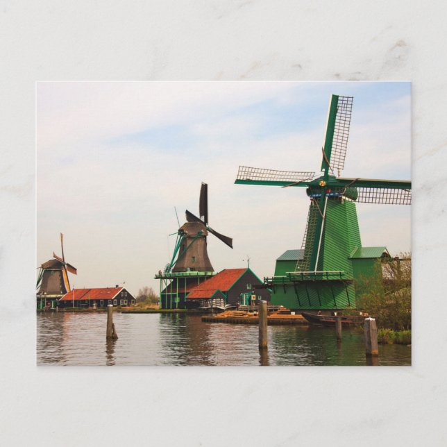Dutch Windmills, Zaanse Schans. Postcard (Front)