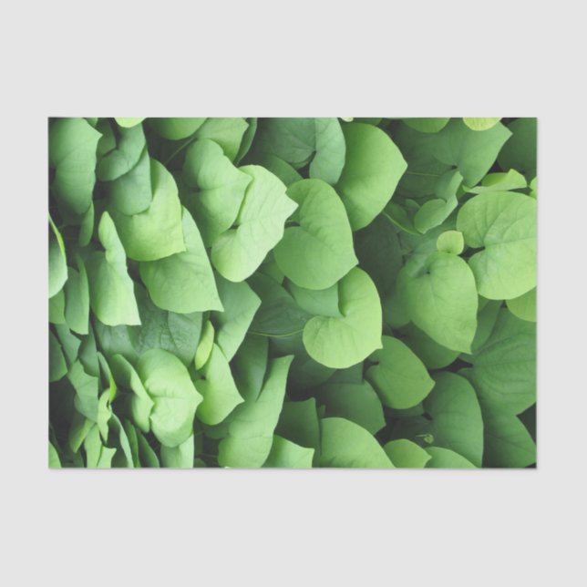 Dutchman's Pipe Green Foliage Tissue Paper (Front)