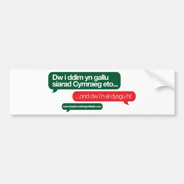 Dw i ddim yn gallu bumper sticker (Front)