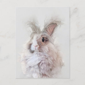 Dwarf Angora Rabbit Wildlife Portrait Postcard
