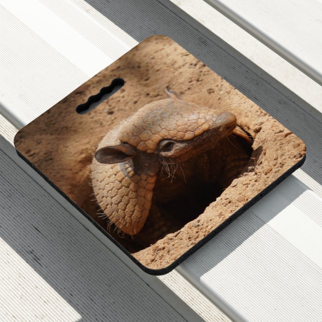Dwarf Armadillo Saying Hello Seat Cushion (In Situ)