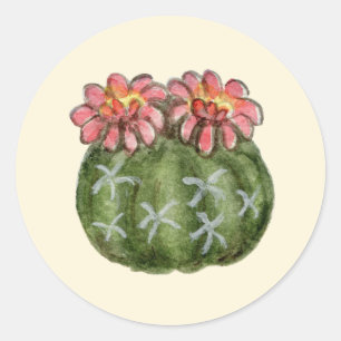 Dwarf Chin cactus sticker