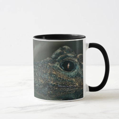 Dwarf Crocodile Face Mug