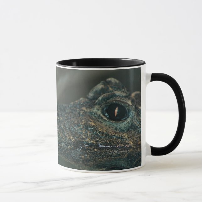 Dwarf Crocodile Face Mug (Right)