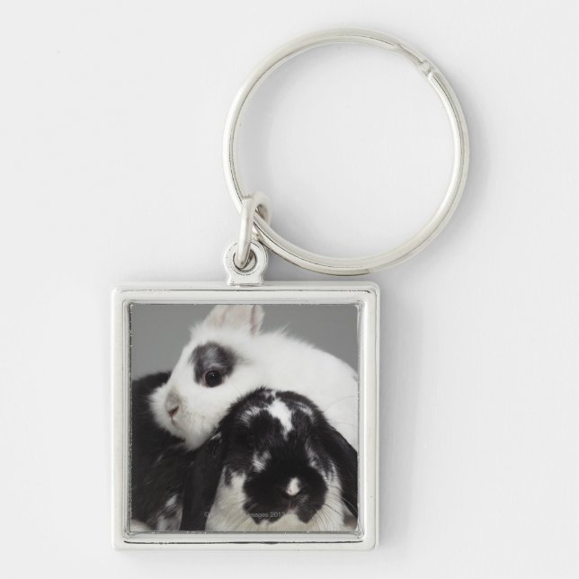 Dwarf-eared rabbit leaning over lop-eared keychain (Front)