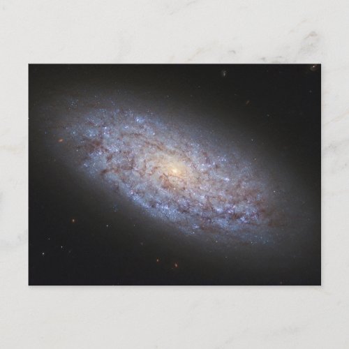 Dwarf Galaxy Ngc 5949 Postcard