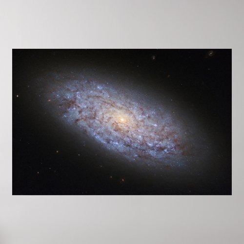Dwarf Galaxy Ngc 5949 Poster