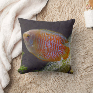 Dwarf Gourami Fish Throw Pillow
