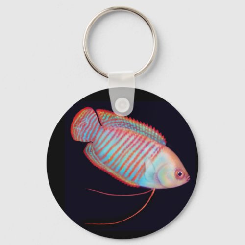 Dwarf Gourami Tropical Fish Keychain