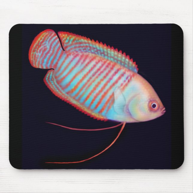 Dwarf Gourami Tropical Fish Mousepad (Front)