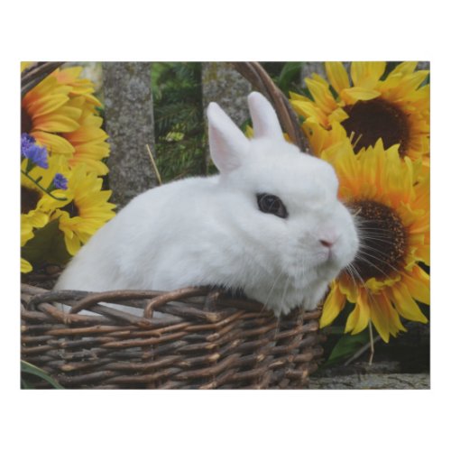 Dwarf Hotot Bunny Rabbit with Sunflowers Faux Canvas Print