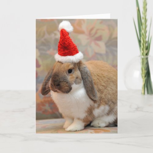 Dwarf lop bunny or rabbit holiday card