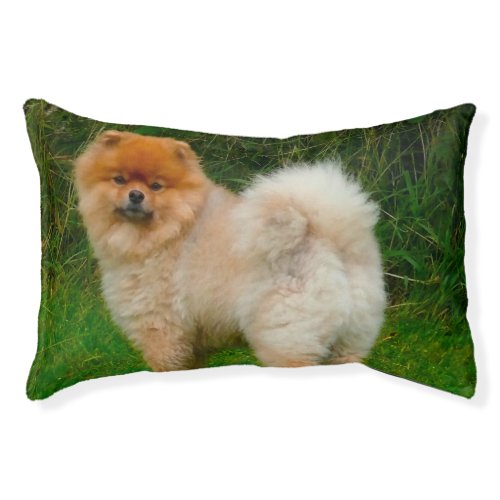 Dwarf Spitz Pomeranian Pet Bed