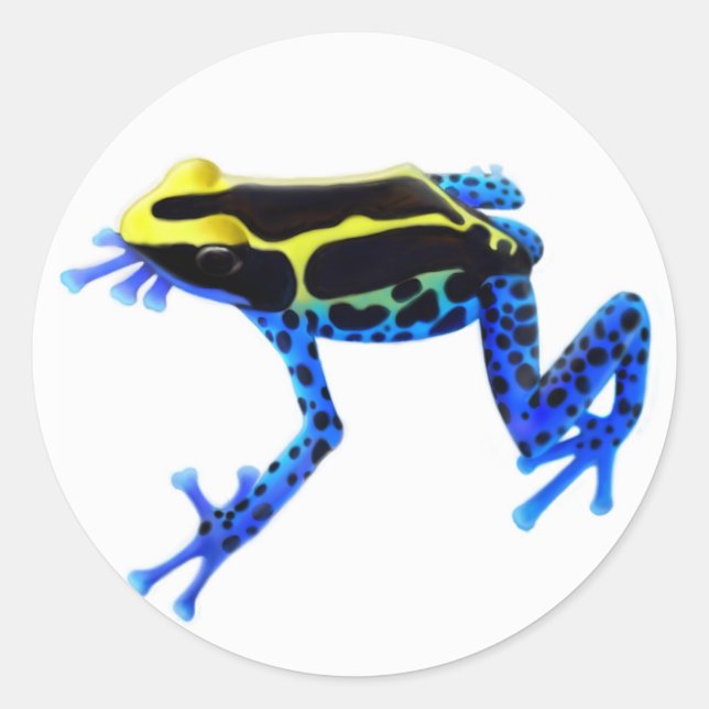 Dyeing Poison Frog Classic Round Sticker (Front)