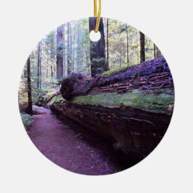 Dyerville Giant- Humboldt Redwoods State Park Ceramic Ornament (Front)