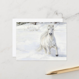 Dyfra the Icelandic Horse Galloping in Snow Postcard