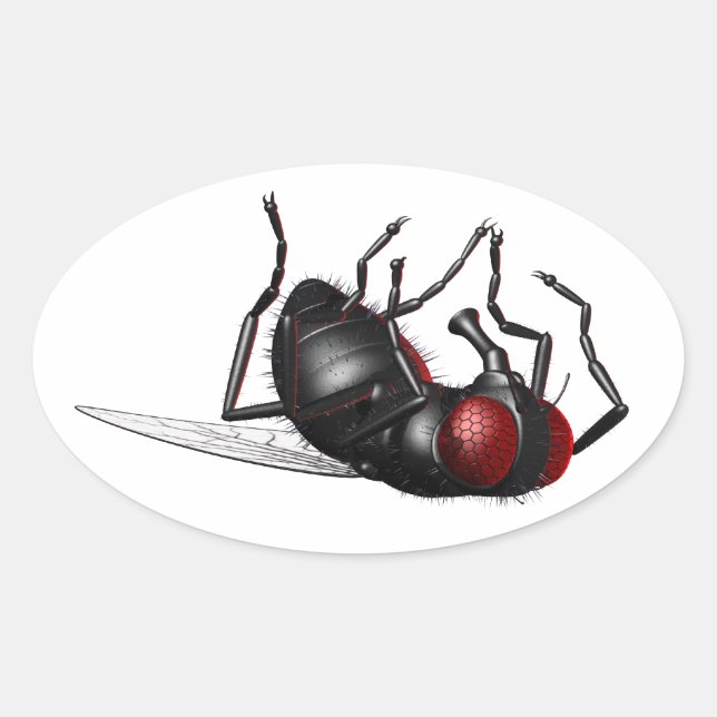 Dying Fly Oval Sticker (Front)
