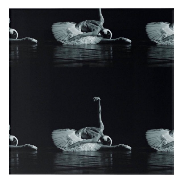 Dying Swan Acrylic Art (Front)