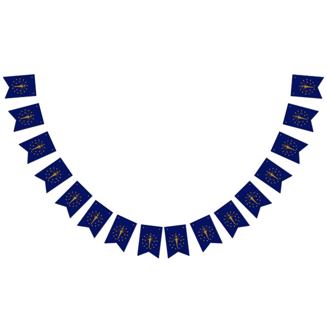 Dynamic Indiana State Flag Graphic on a (All)