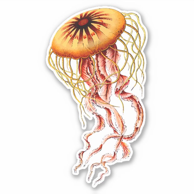 Dynamic Jellyfish Aesthetic - High-Quality Sticker (Front)