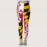 Dynamic Maryland State Flag Graphic on a