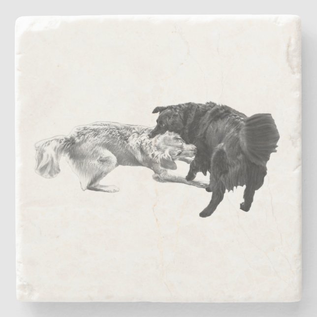 Dynamic Pugs, Table Shade Stone Coaster (Front)