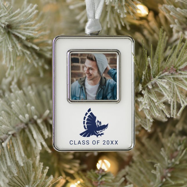 Dynamic Rice University Owl Mascot Christmas Ornament (Tree)