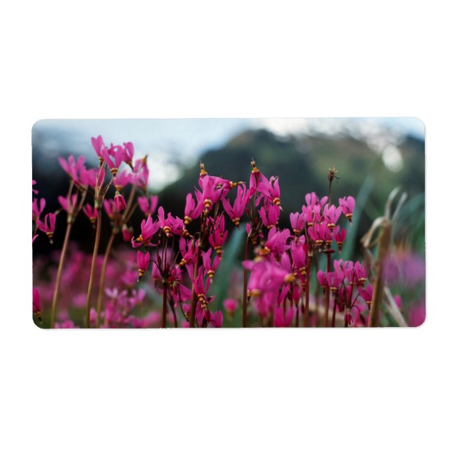 Dynamic Shooting Stars Label (Front)